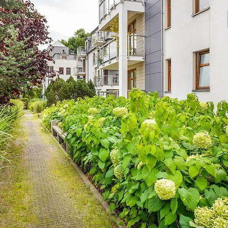 Solaris - Sopocka Przystan Sopot