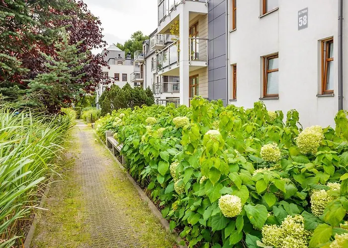 Solaris - Sopocka Przystan Sopot